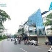 Bán nhà mặt phố Hoàng Cầu Đống Đa DT 200m2 giá 150 tỷ Hà Nội